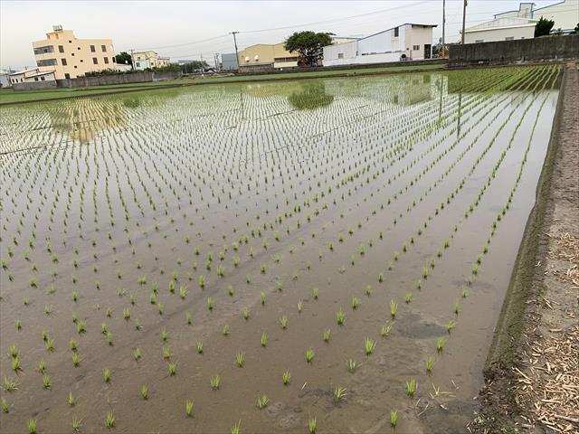 生產者圖片