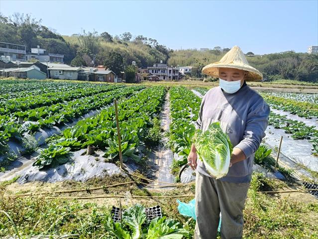 生產者圖片