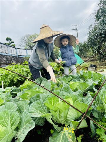 生產者圖片