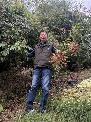 生產者圖片