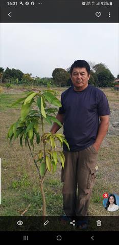 生產者圖片