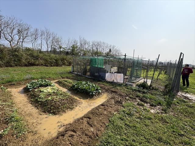 生產者圖片