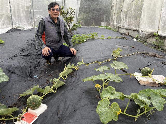 生產者圖片