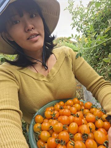 生產者圖片