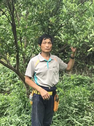 生產者圖片