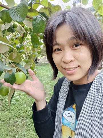 生產者圖片