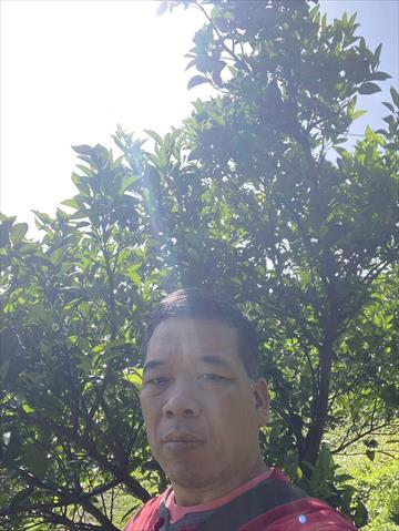 生產者圖片