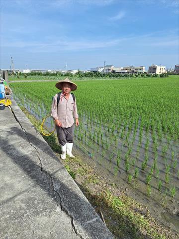 生產者圖片
