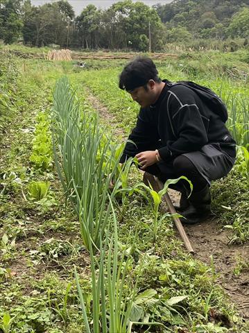 生產者圖片