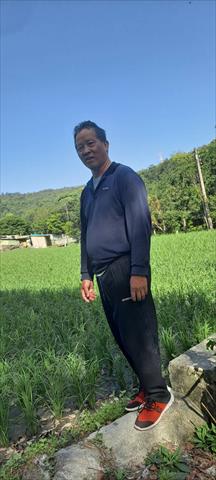 生產者圖片