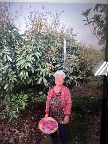 生產者圖片