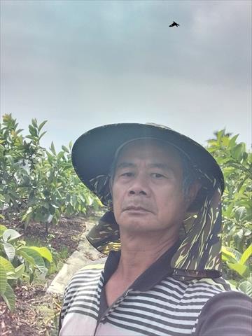 生產者圖片