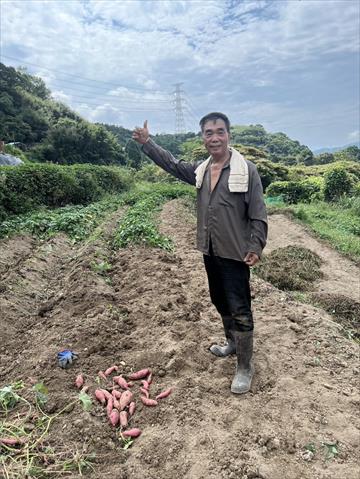 生產者圖片