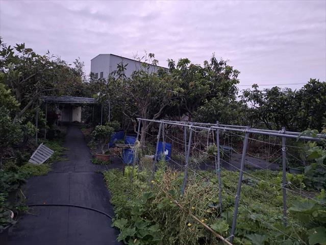 生產者圖片