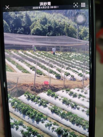 生產者圖片