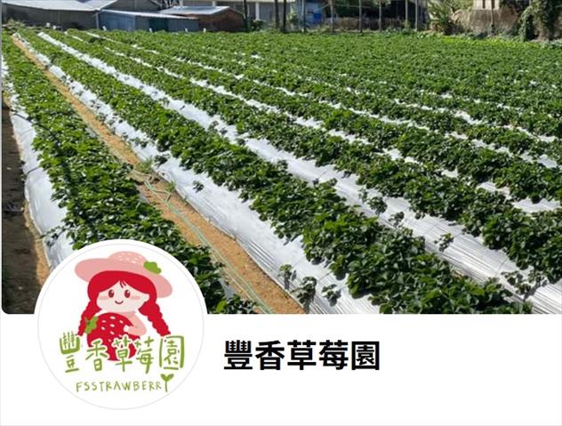 生產者圖片