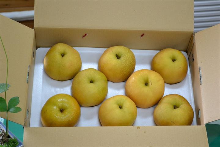 生產者圖片