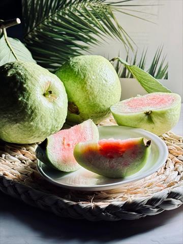 生產者圖片