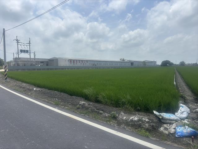 生產者圖片