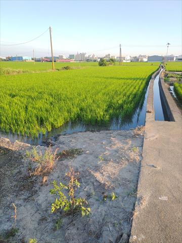 生產者圖片