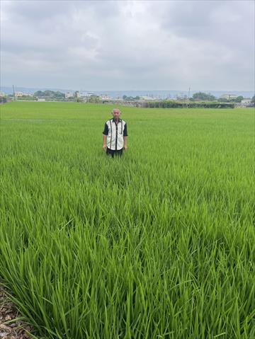 生產者圖片