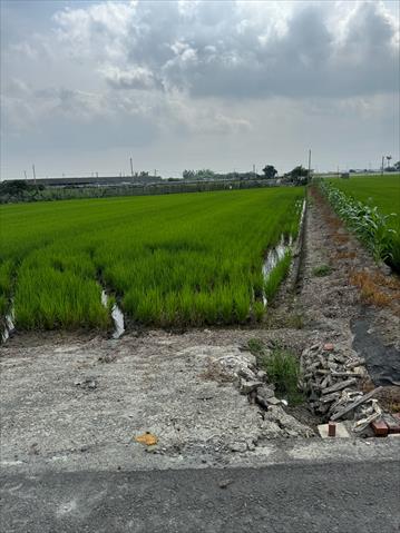 生產者圖片