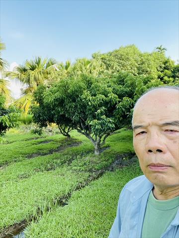 生產者圖片