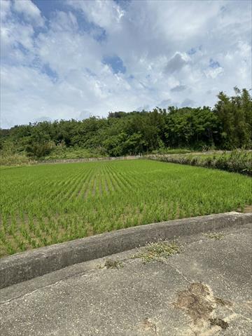 生產者圖片