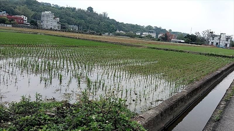 生產者圖片