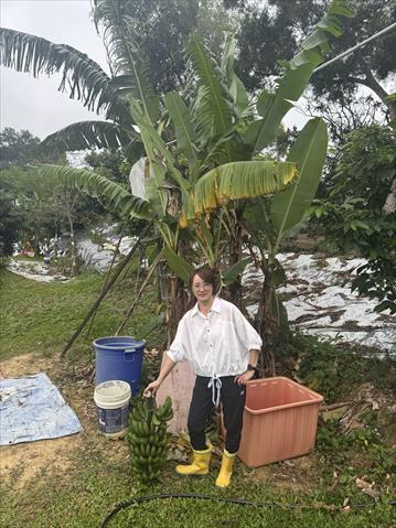 生產者圖片
