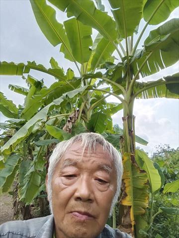生產者圖片
