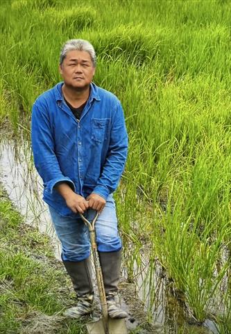 生產者圖片