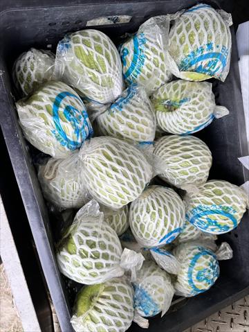生產者圖片