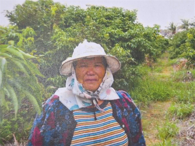 生產者圖片