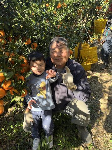 生產者圖片
