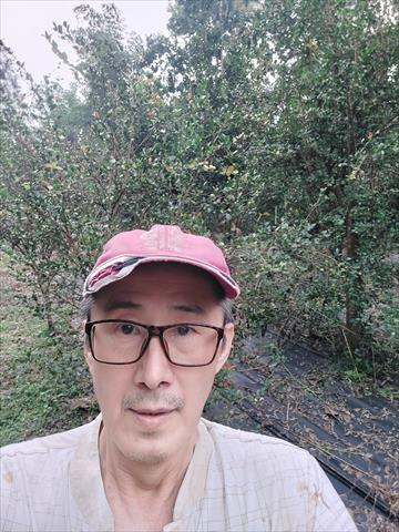 生產者圖片