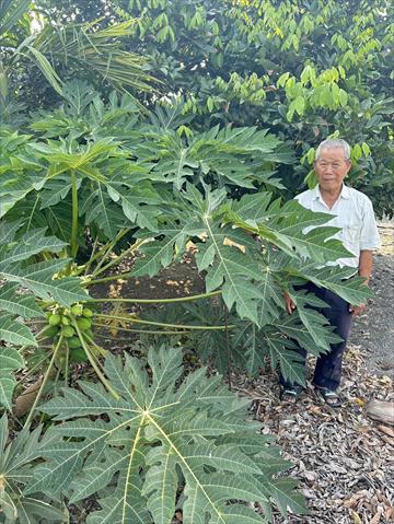 生產者圖片