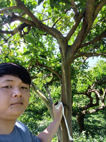 生產者圖片