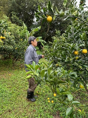 生產者圖片