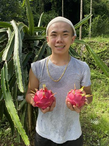 生產者圖片