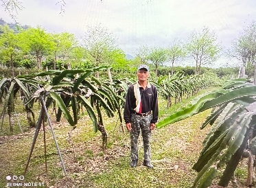 生產者圖片