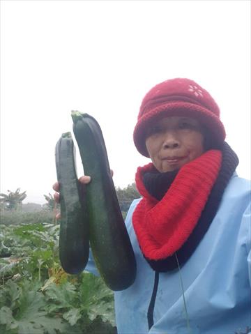 生產者圖片