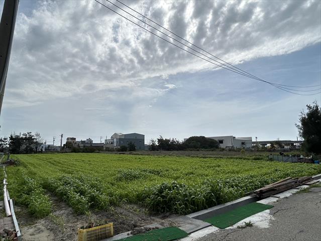生產者圖片