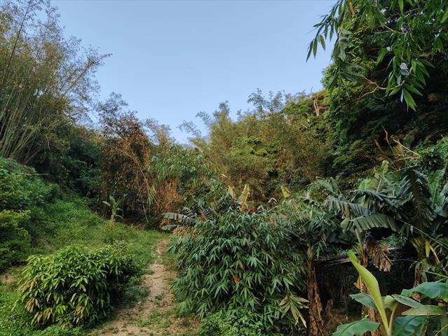 生產者圖片