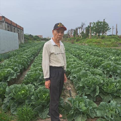 生產者圖片