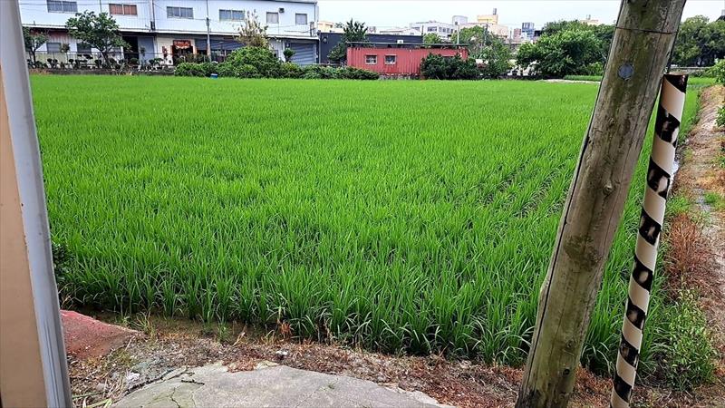 生產者圖片
