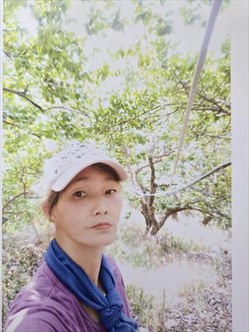 生產者圖片