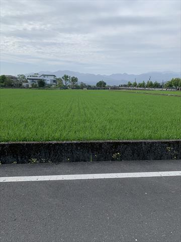 生產者圖片