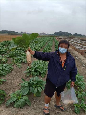 生產者圖片