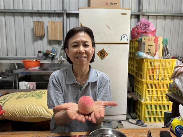 生產者圖片